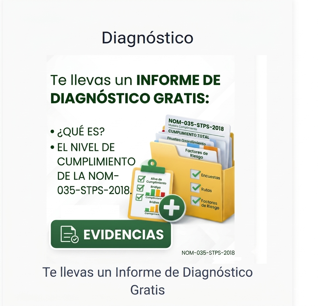 Evidencias